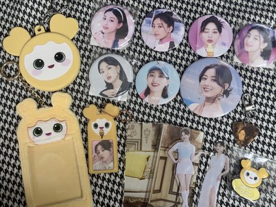 （有增加些東西 現貨 整圖出 可當日寄出）twice lovelys 志效盤 徽章套 卡套 jively 證件照pick