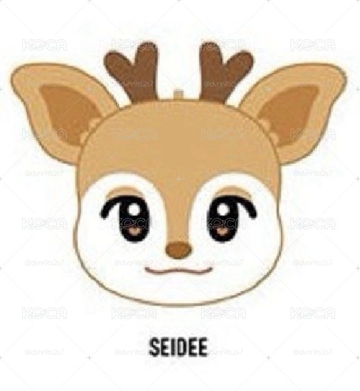 NEXZ SEIDEE扇套