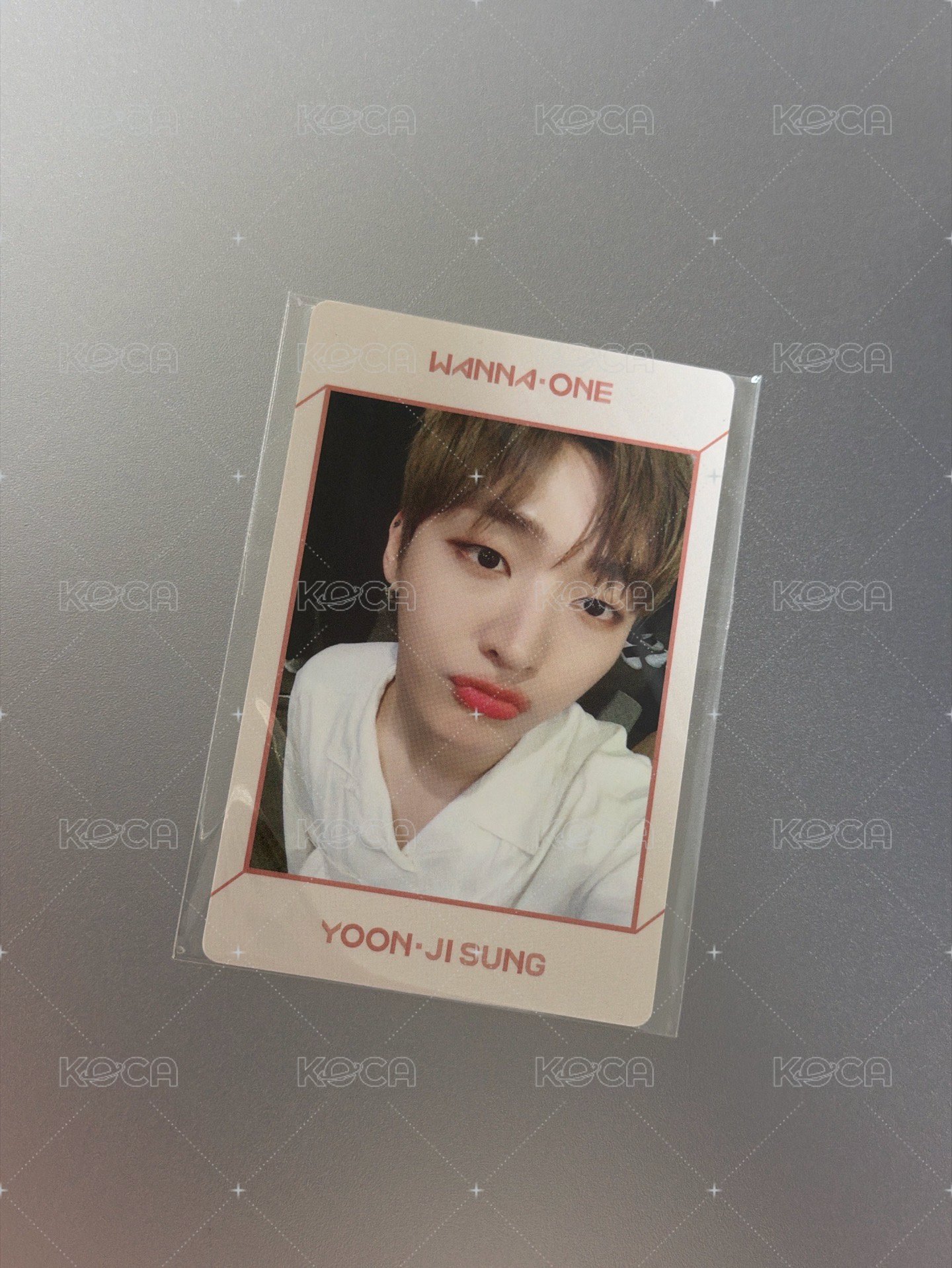 윤지성