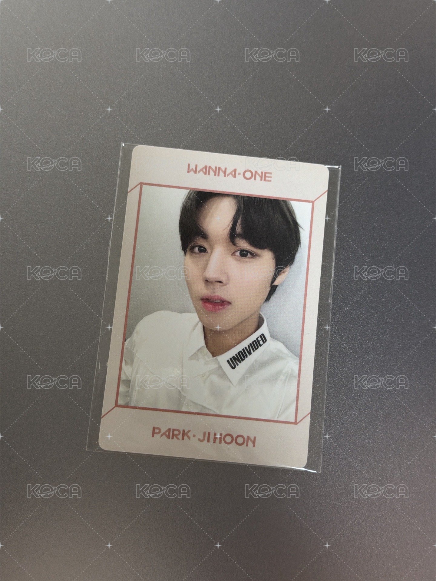 박지훈