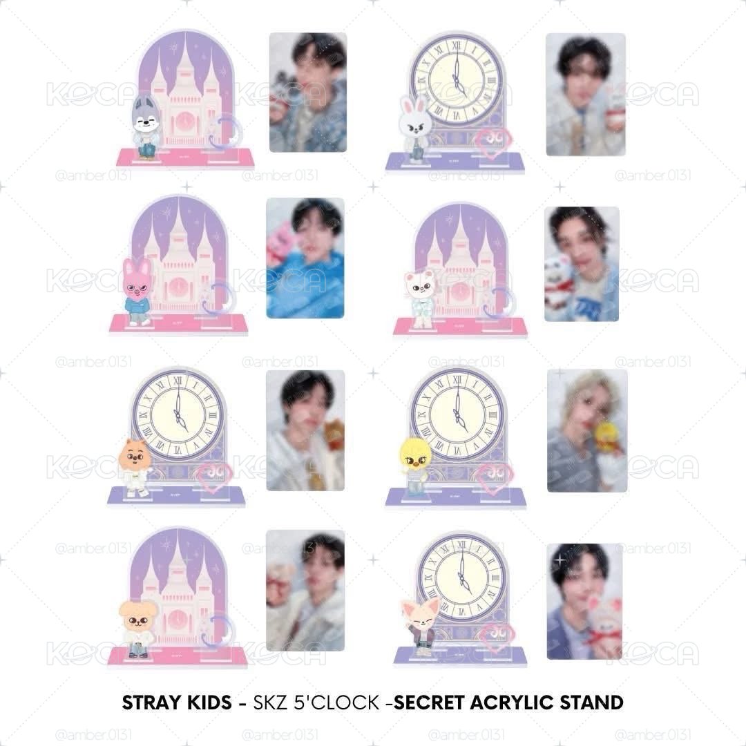 Stray Kids 五期飯咪 菲立牌 鐵盒小卡組