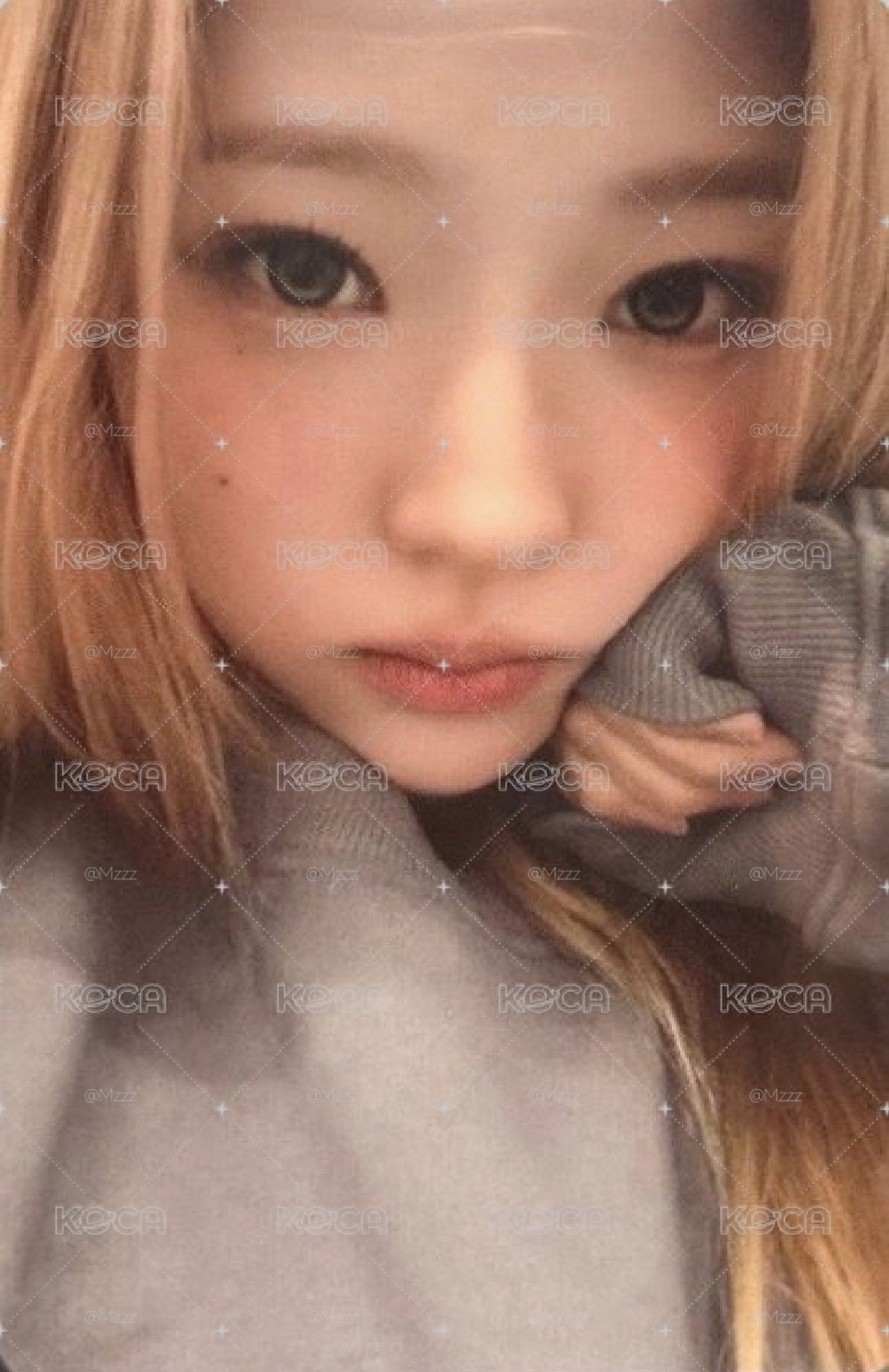 Stella 長袖卡 