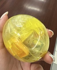 寅