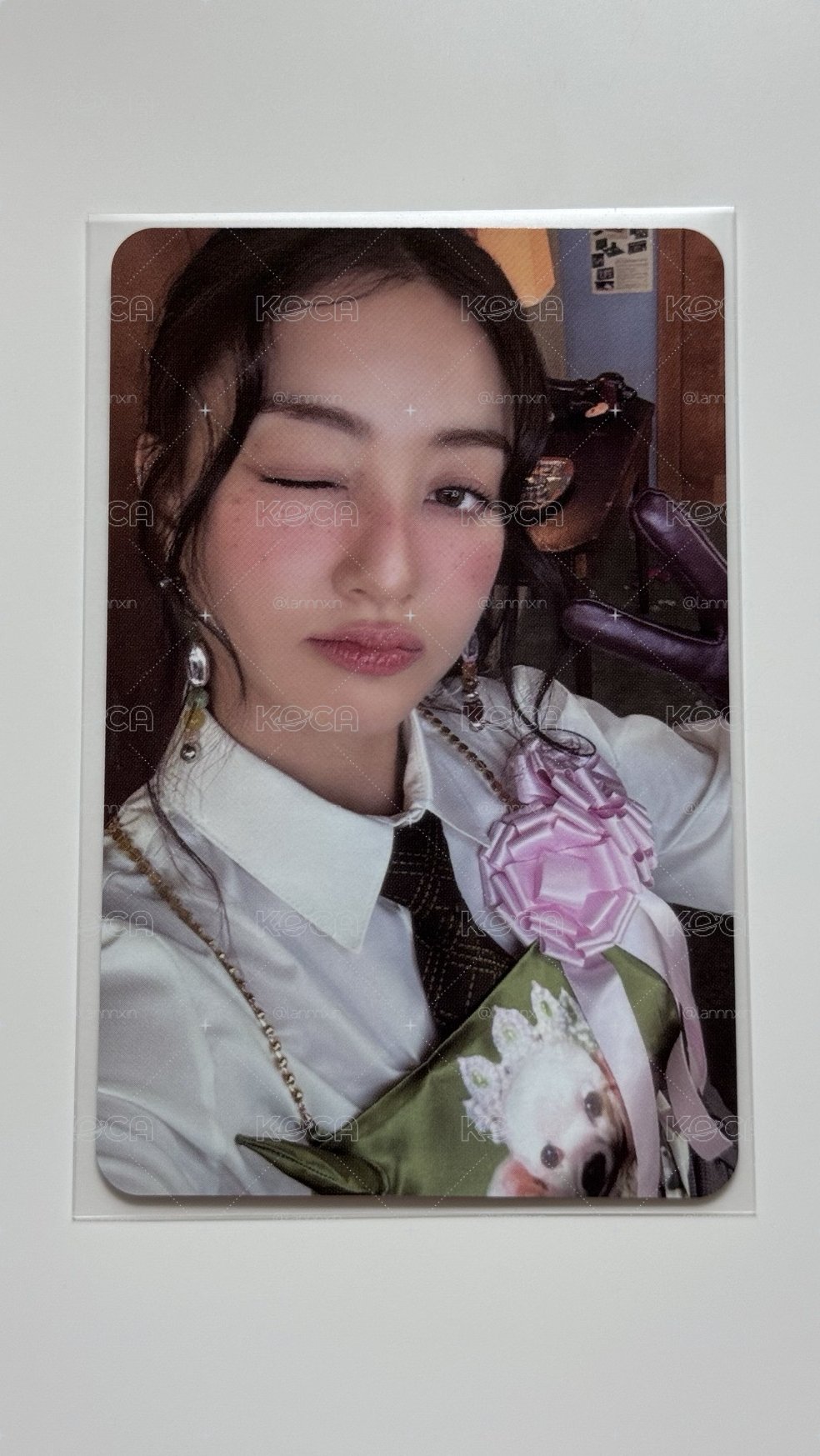 志效小卡