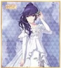 色紙 vol.53 A 色紙 余花二星