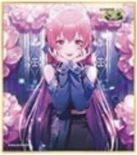 色紙 vol.51 A 色紙 花朵花後