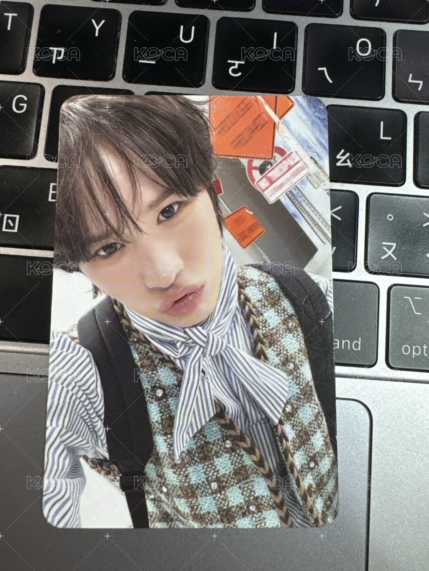 迷五🐥