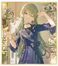 色紙 vol.51 A 色紙 花朵花後