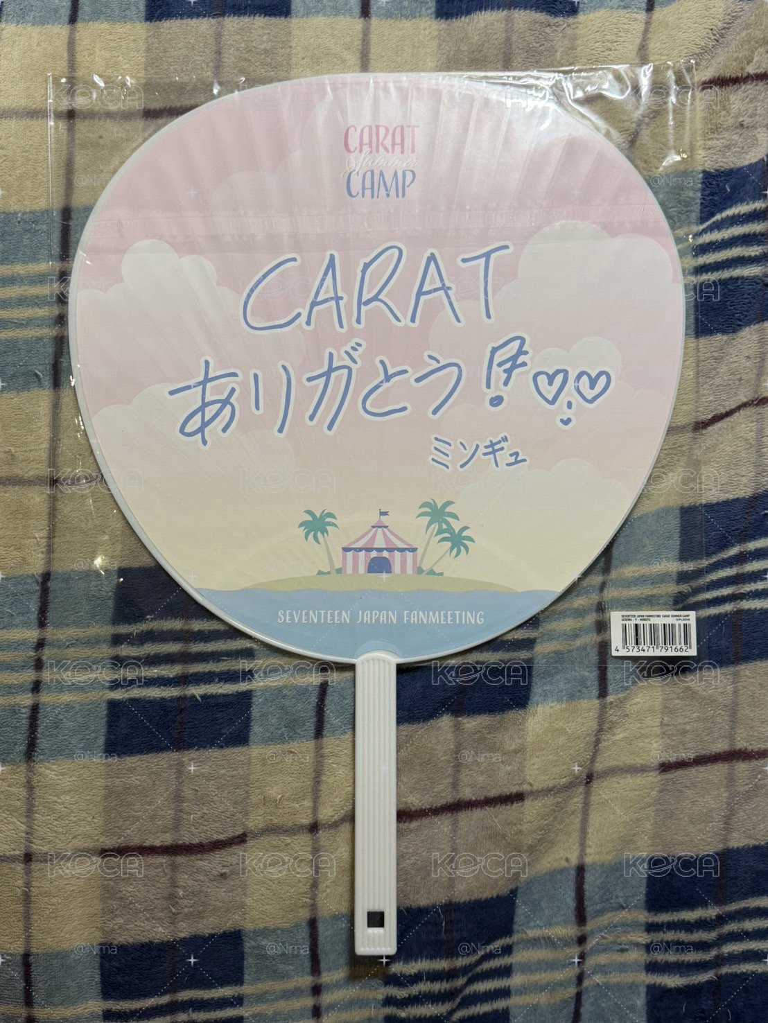 奎大扇盤