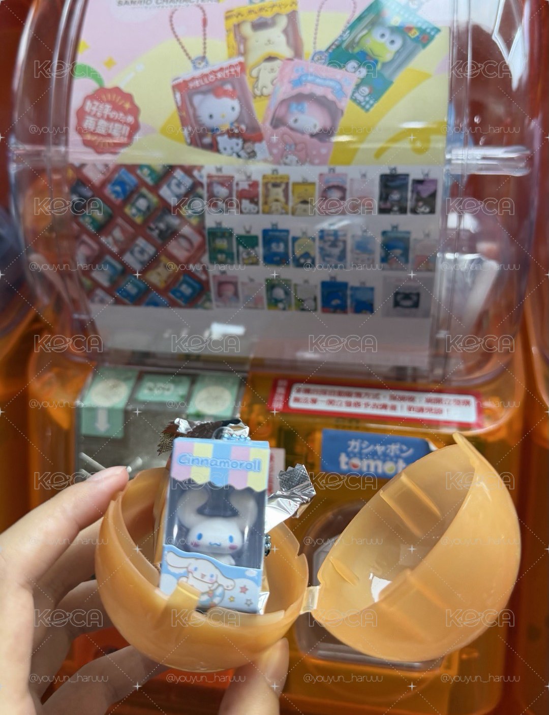 大耳狗🐾