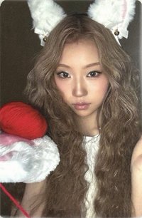 迷三 am 單封 特典卡 貓咪
