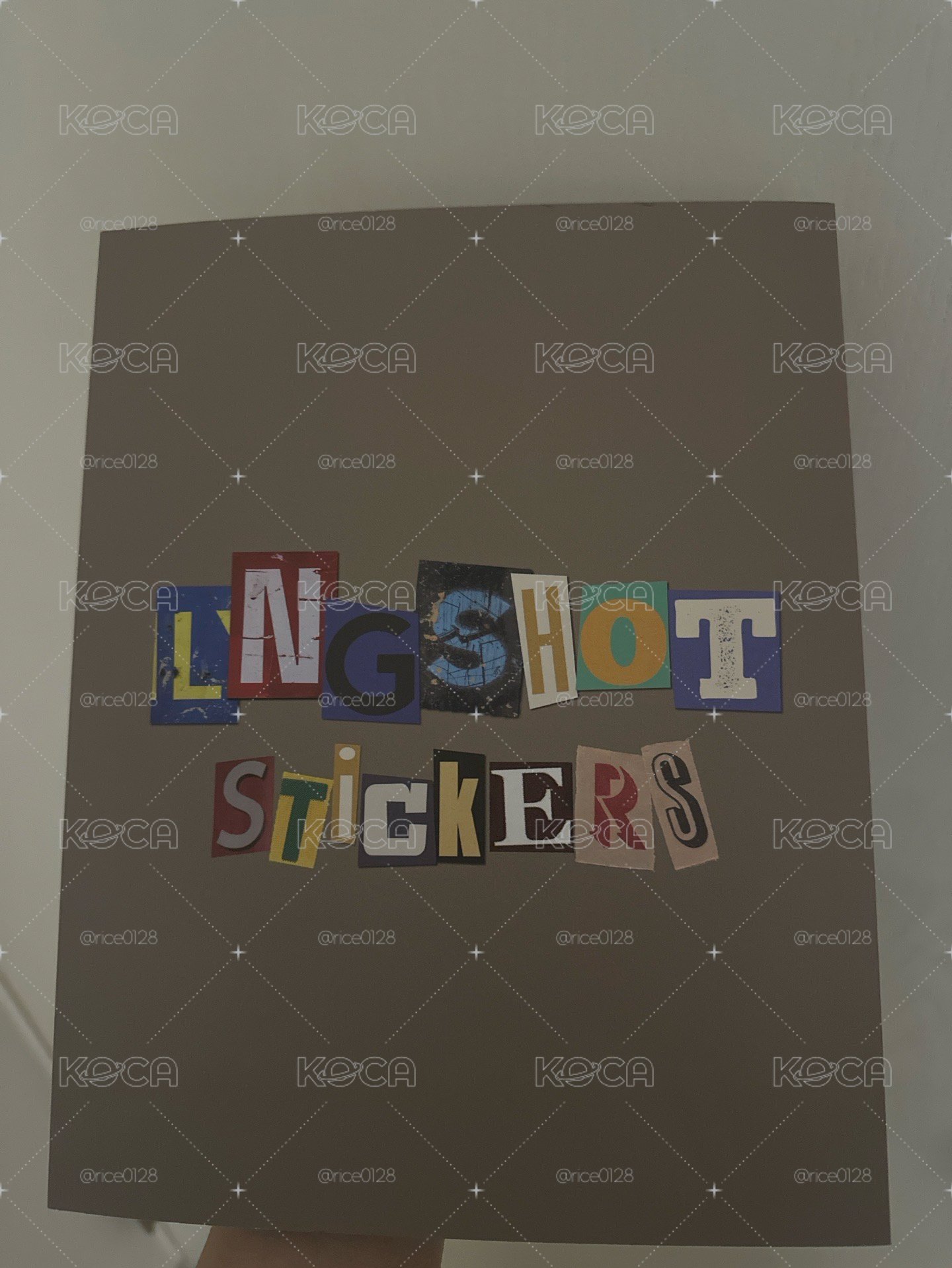 Lngshot貼紙書 已拆 無小卡