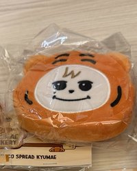 TOFFEE圭美
