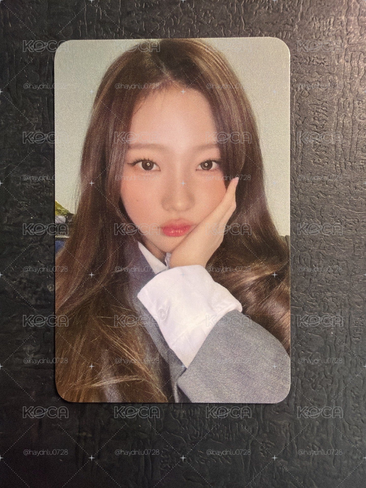 現貨當日出貨/Focus ny 1.0 簽售卡 Stella