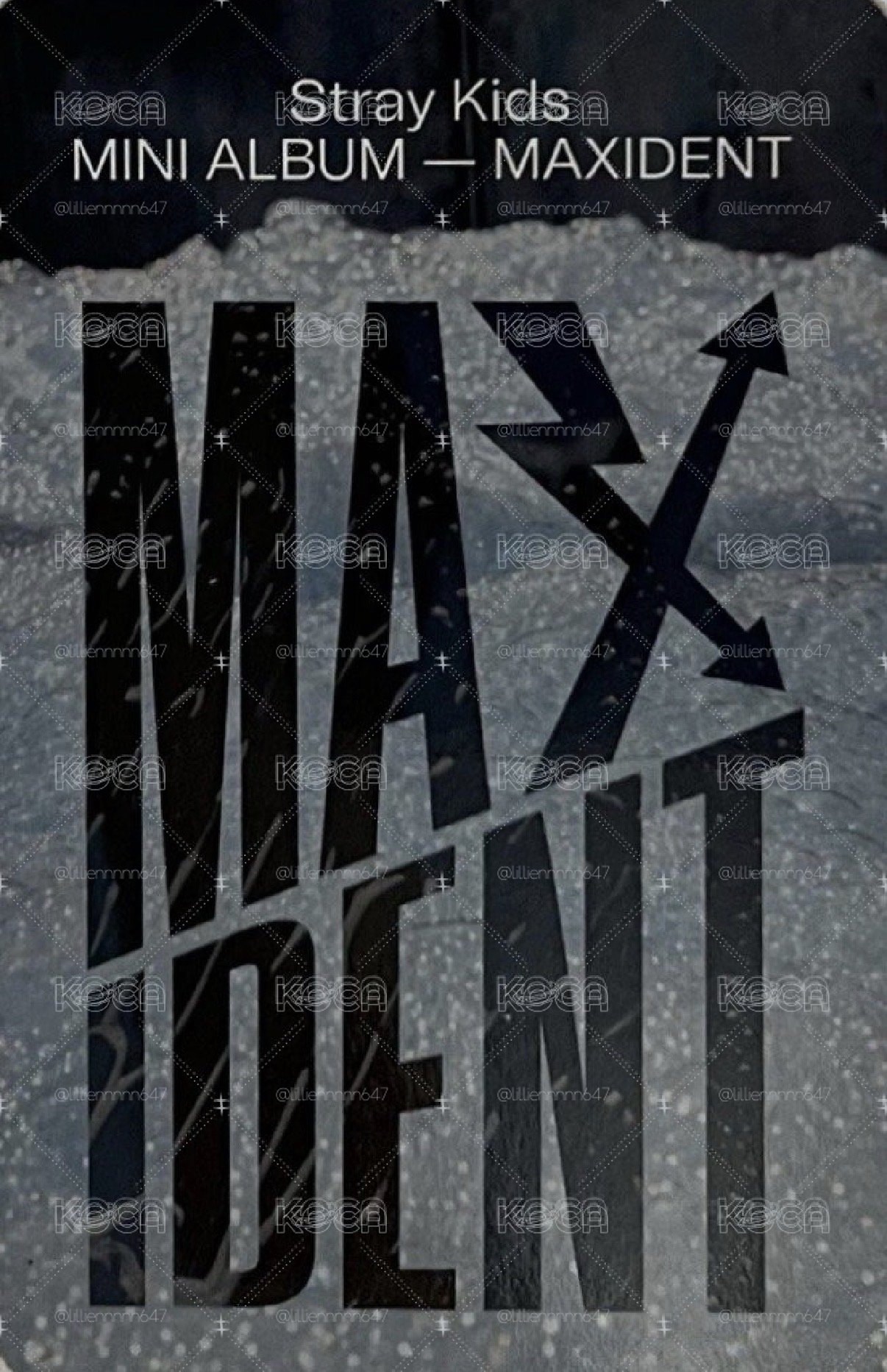 MAXIDENT target 特典卡 