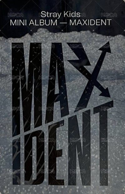 MAXIDENT target 特典卡 