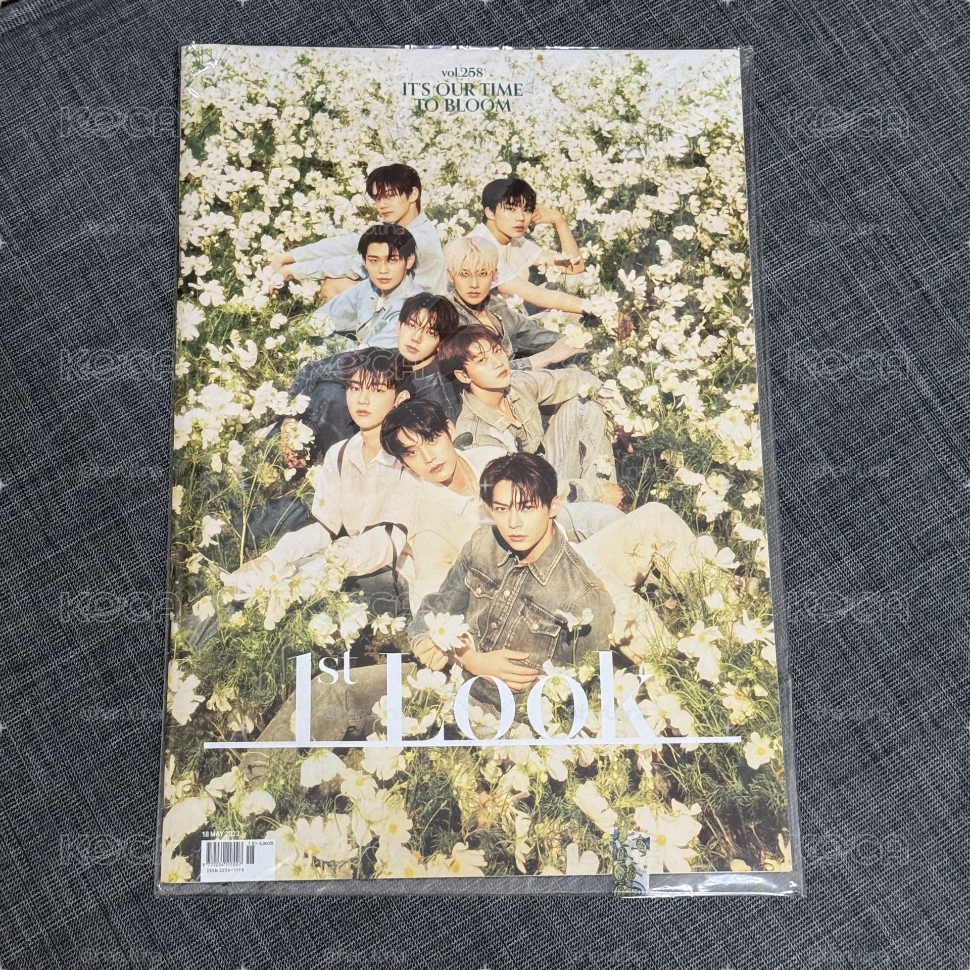 zb1 團封雜誌