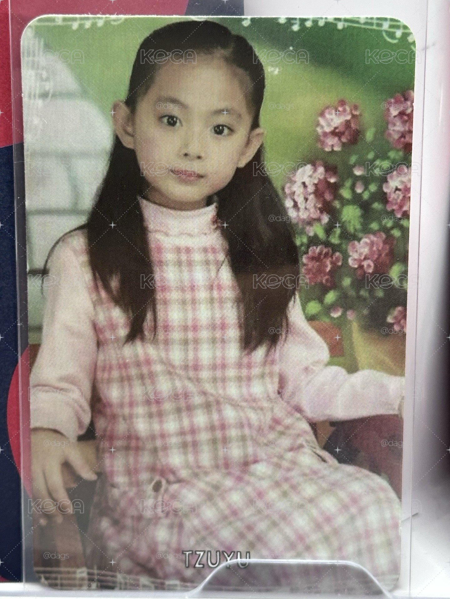 子瑜