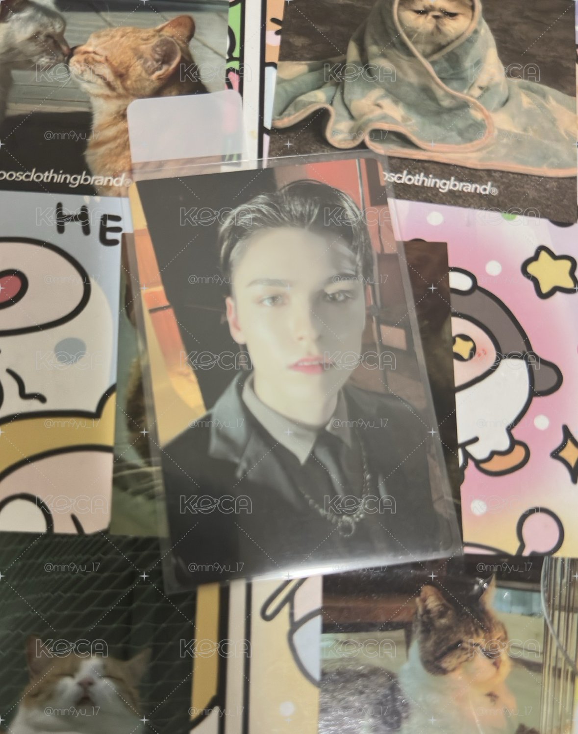 vernon~小波！🩵