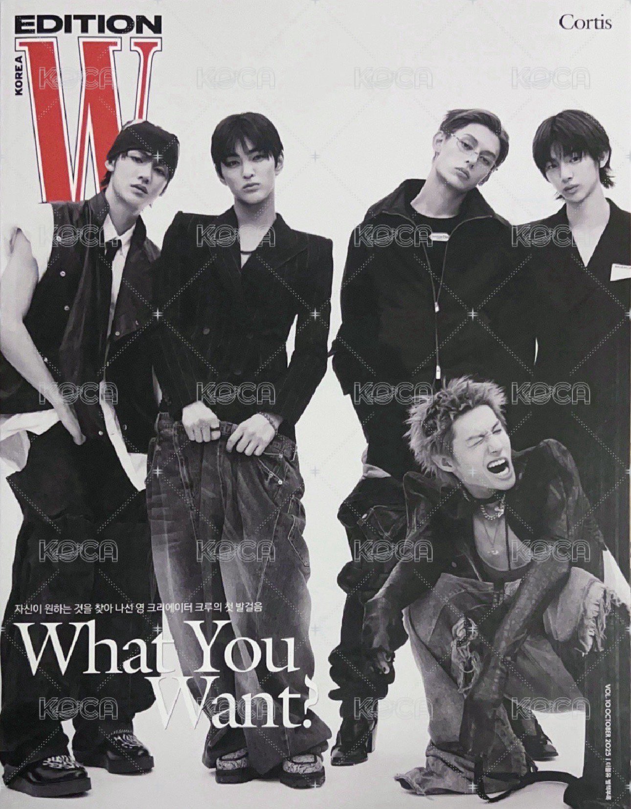W雜誌（不單出）
