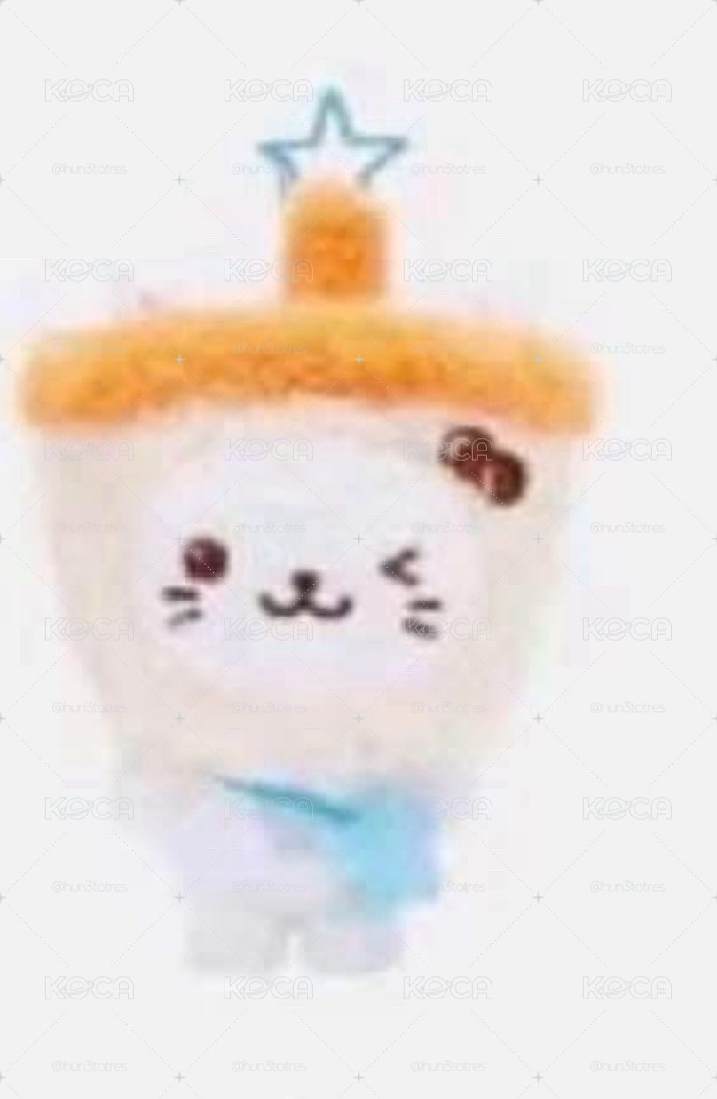 NCTWISH YUSHI 快閃原皮娃 奶茶貓 一販