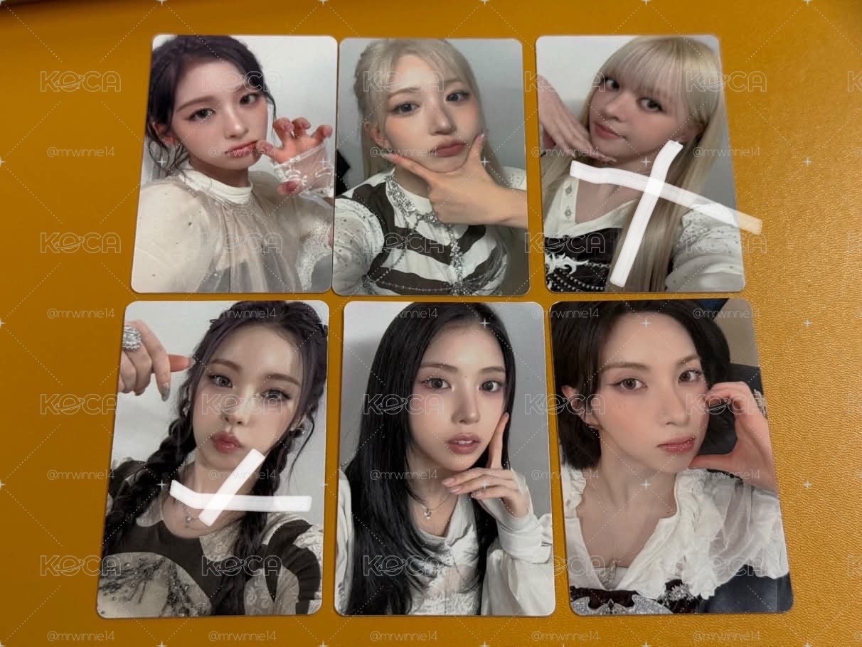 VIP禮包 美巡入場卡 嫄友 小象裴