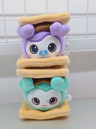 TWICE日周冬季快閃 餅乾娃紗＆南