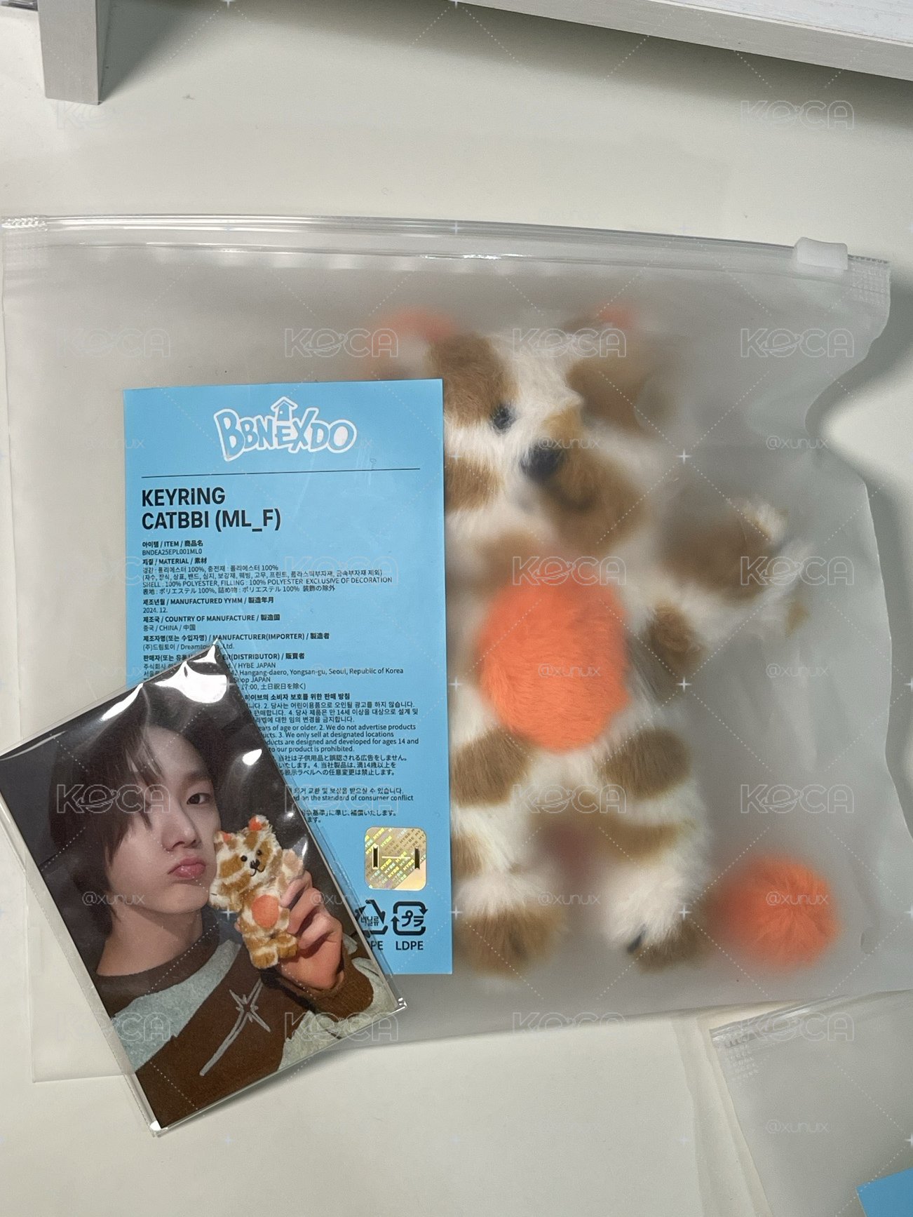 CATBBI