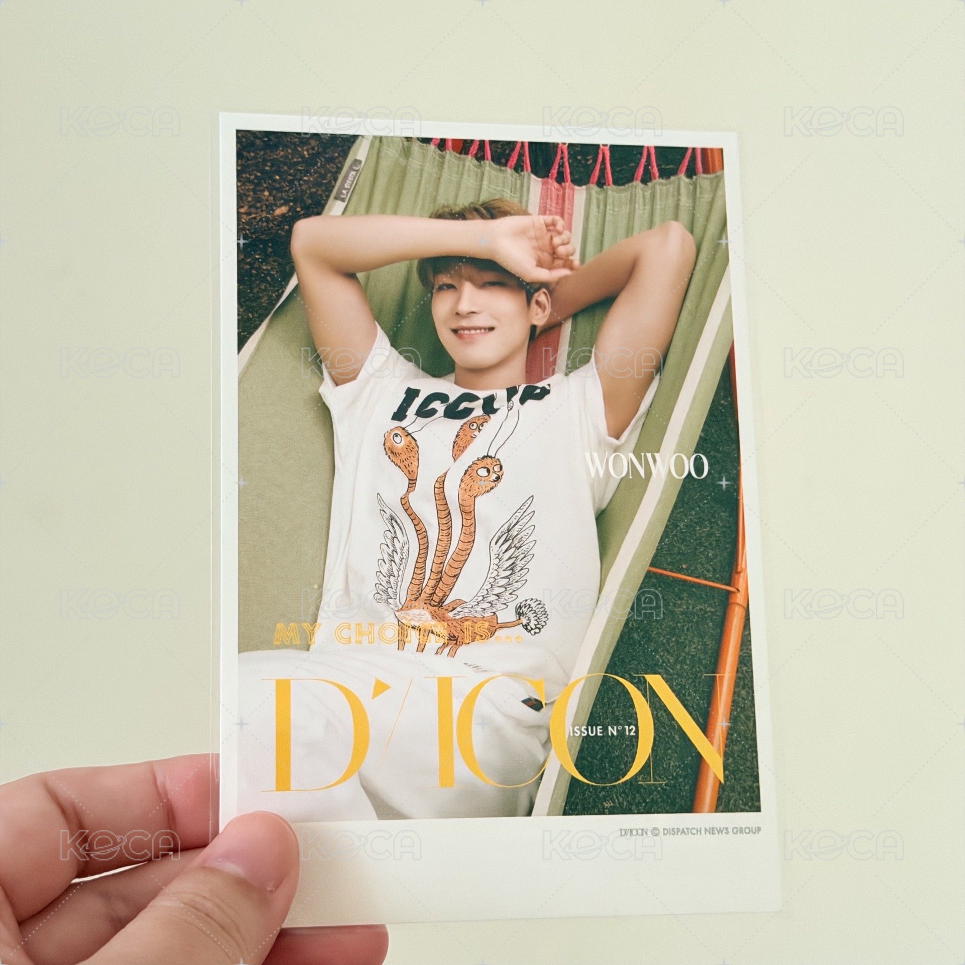 圓佑（6）