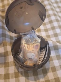 狐毛大貂