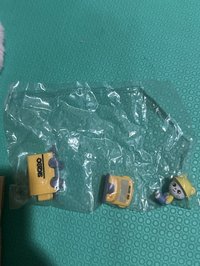 幼兒園貂