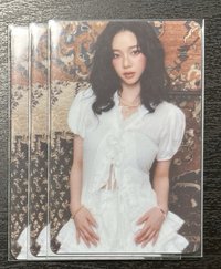 柚B官拍