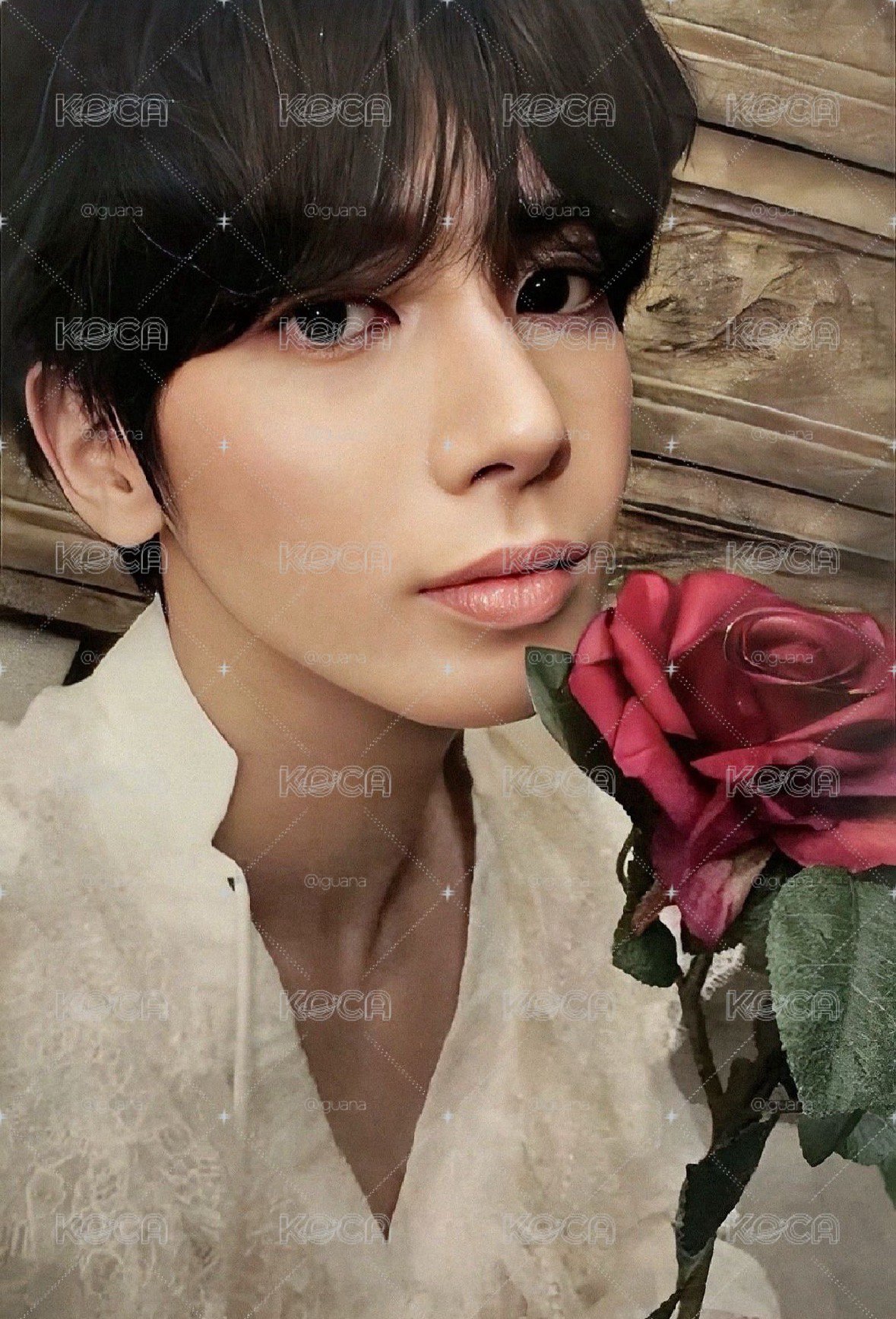 迷六全專 Romantic 