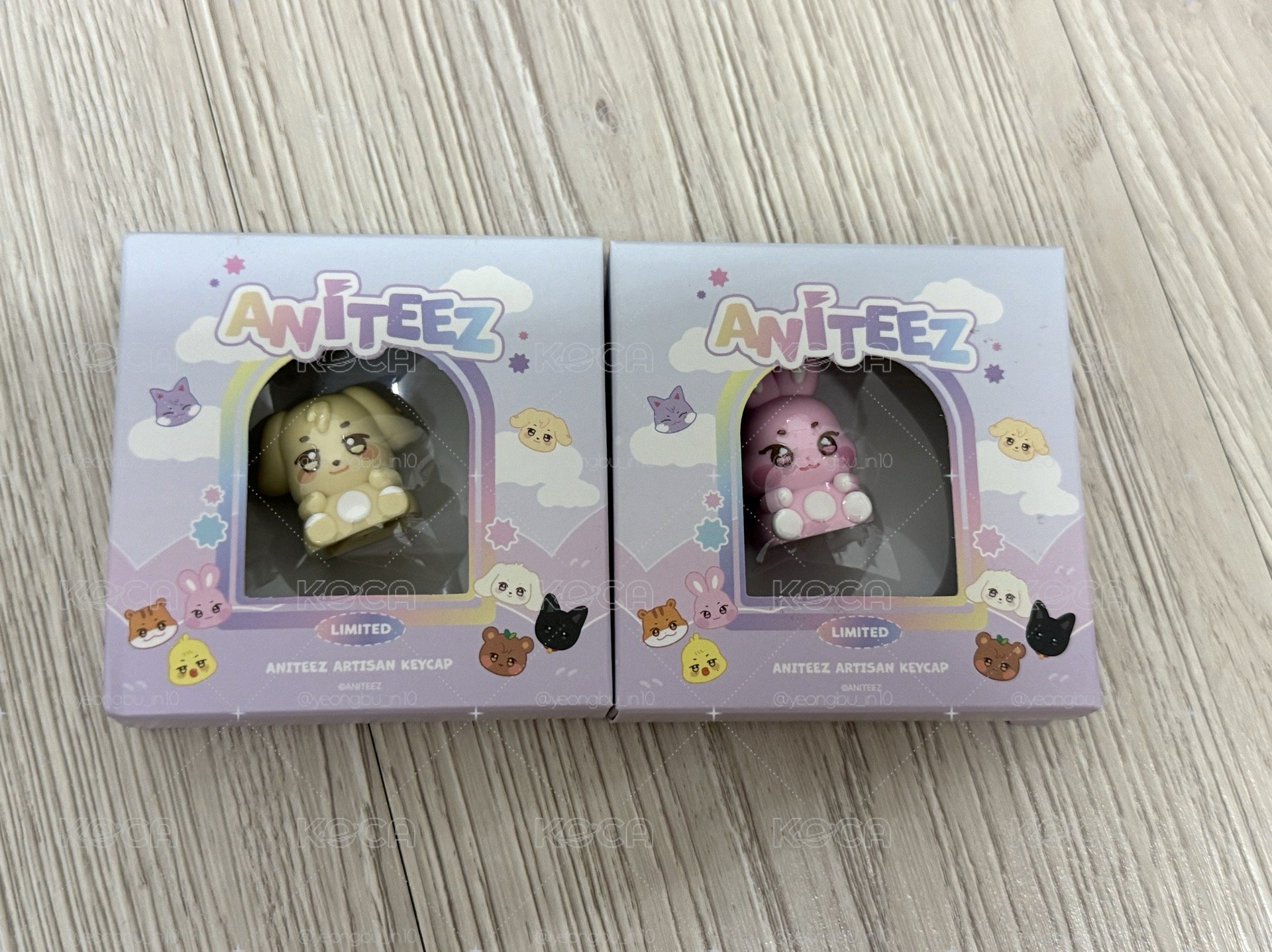 ANITEEZ IN COLOR KR ONLY 鍵帽 ANITEEZ ARTISAN KEYCAP