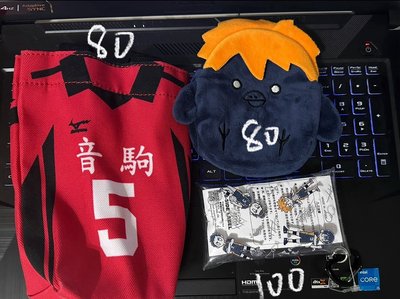 排球少年