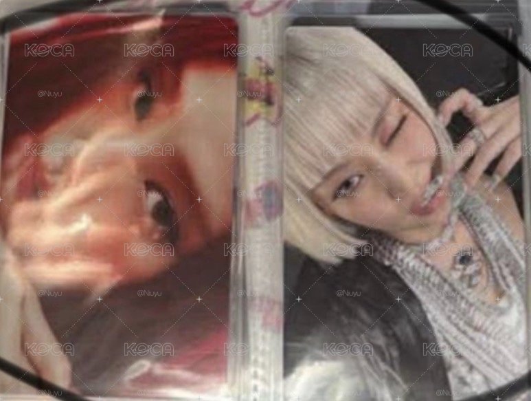 中背
