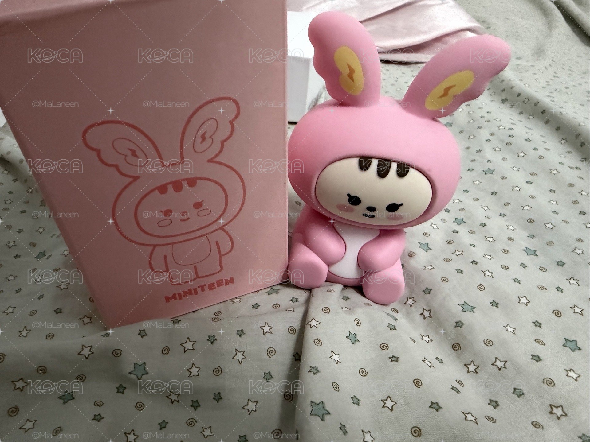 SEVENTEEN 手燈&其他