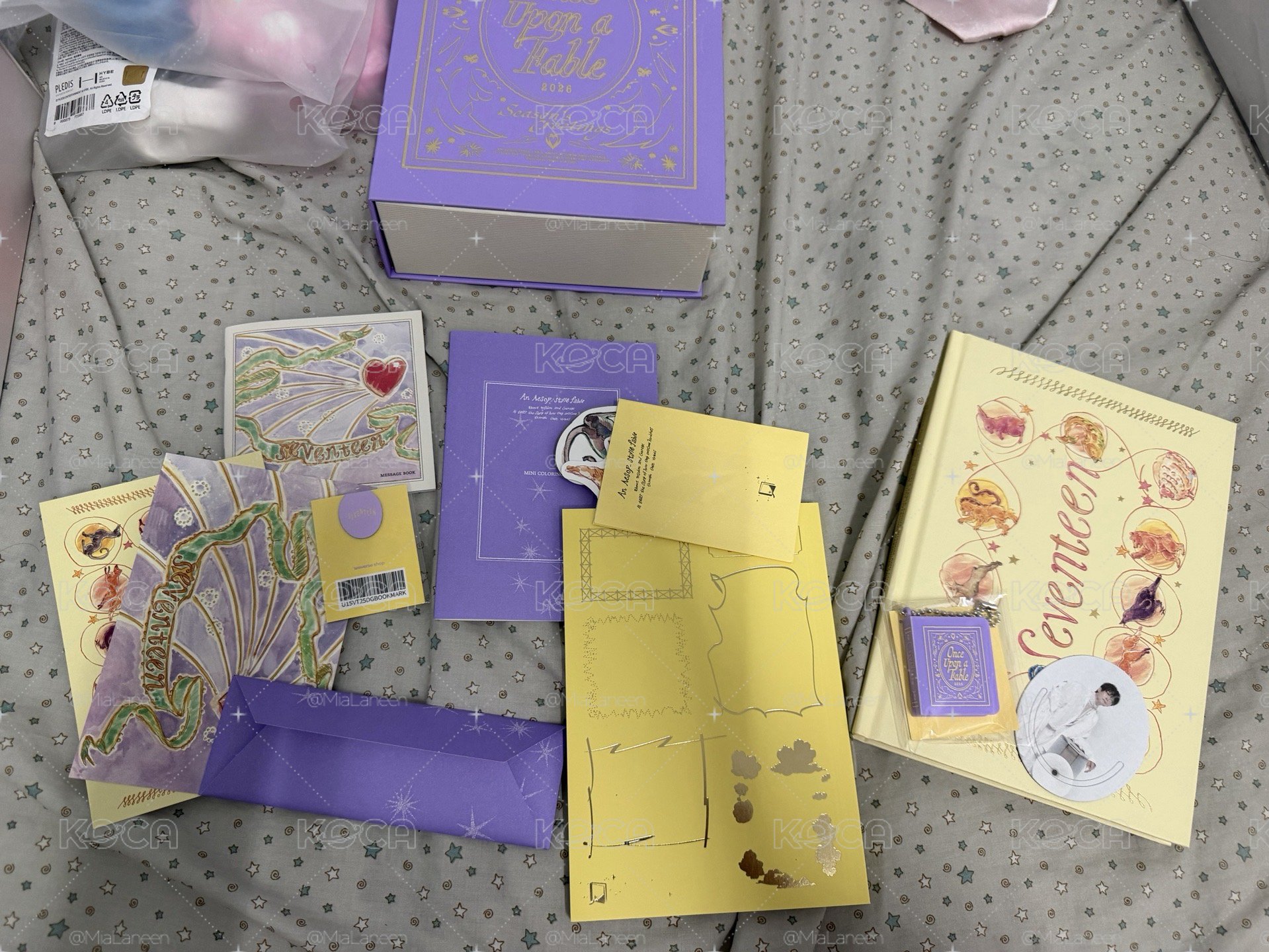 SEVENTEEN 手燈&其他