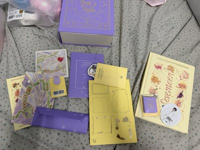 SEVENTEEN 手燈&其他