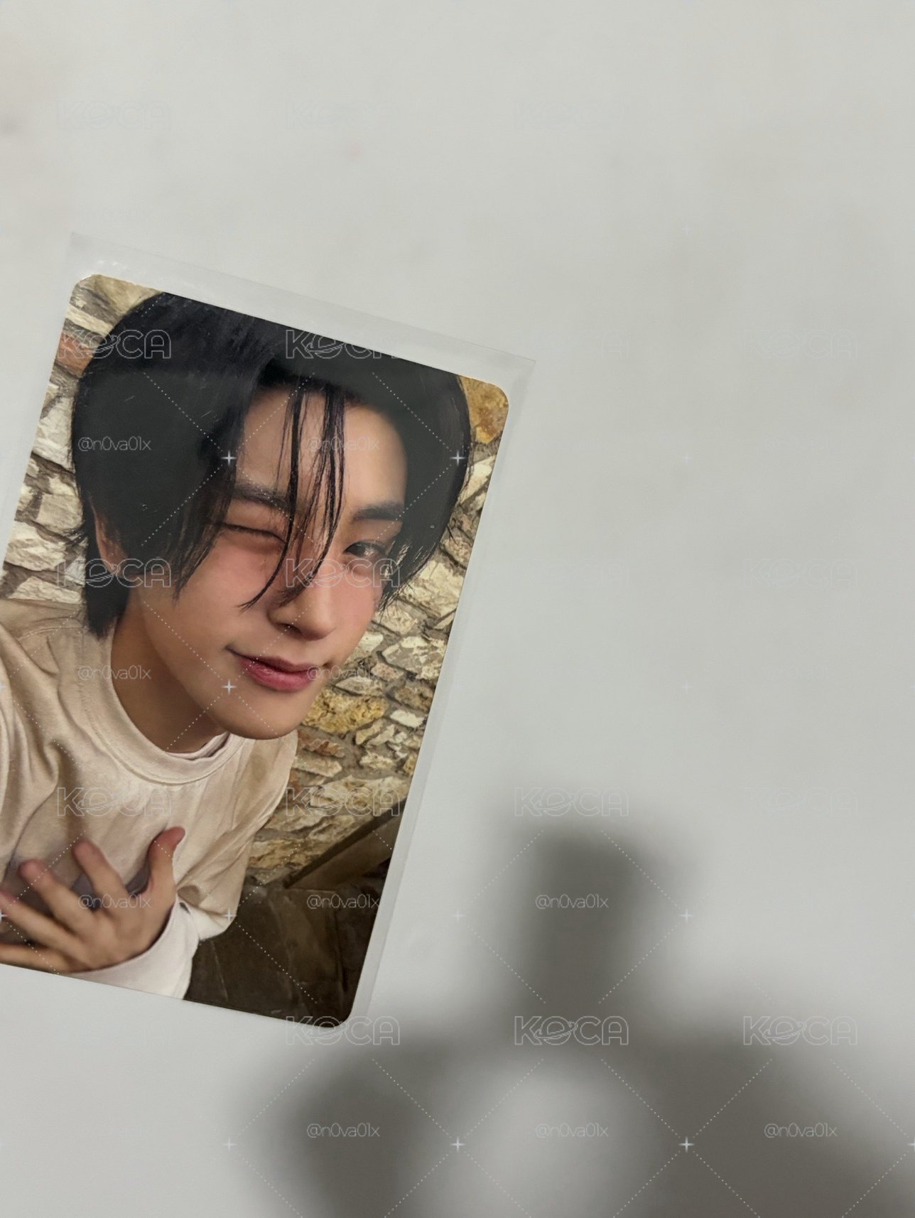 載愛的回歸線