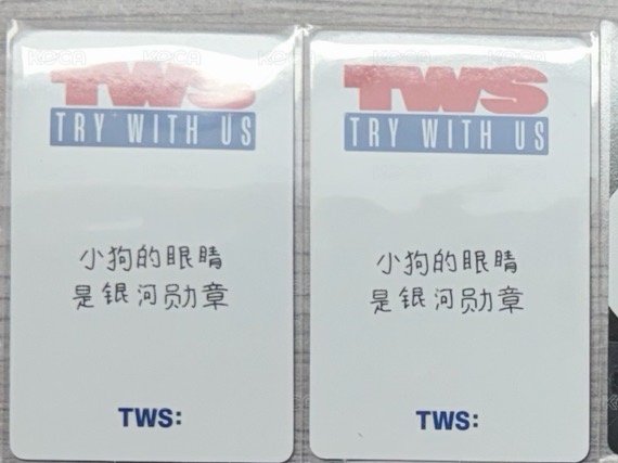中背「小狗的眼睛是銀河的勳章」