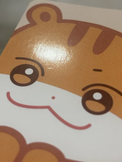 中拉米毛絨卡套