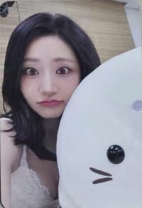 單曲二 mu 4.0線下 簽售卡 海豹 ver