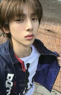 訓指定（帶馬）