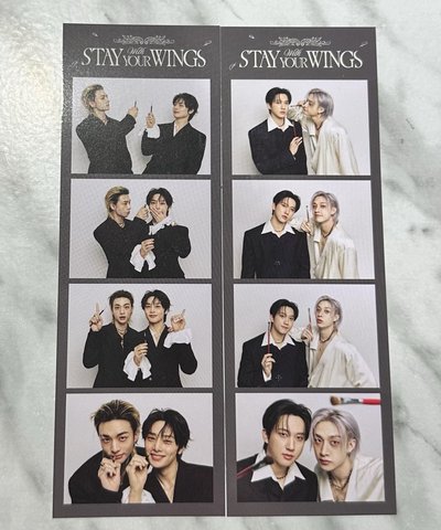 SKZ 六期會員禮 辰寅 燦彬 雙人四格