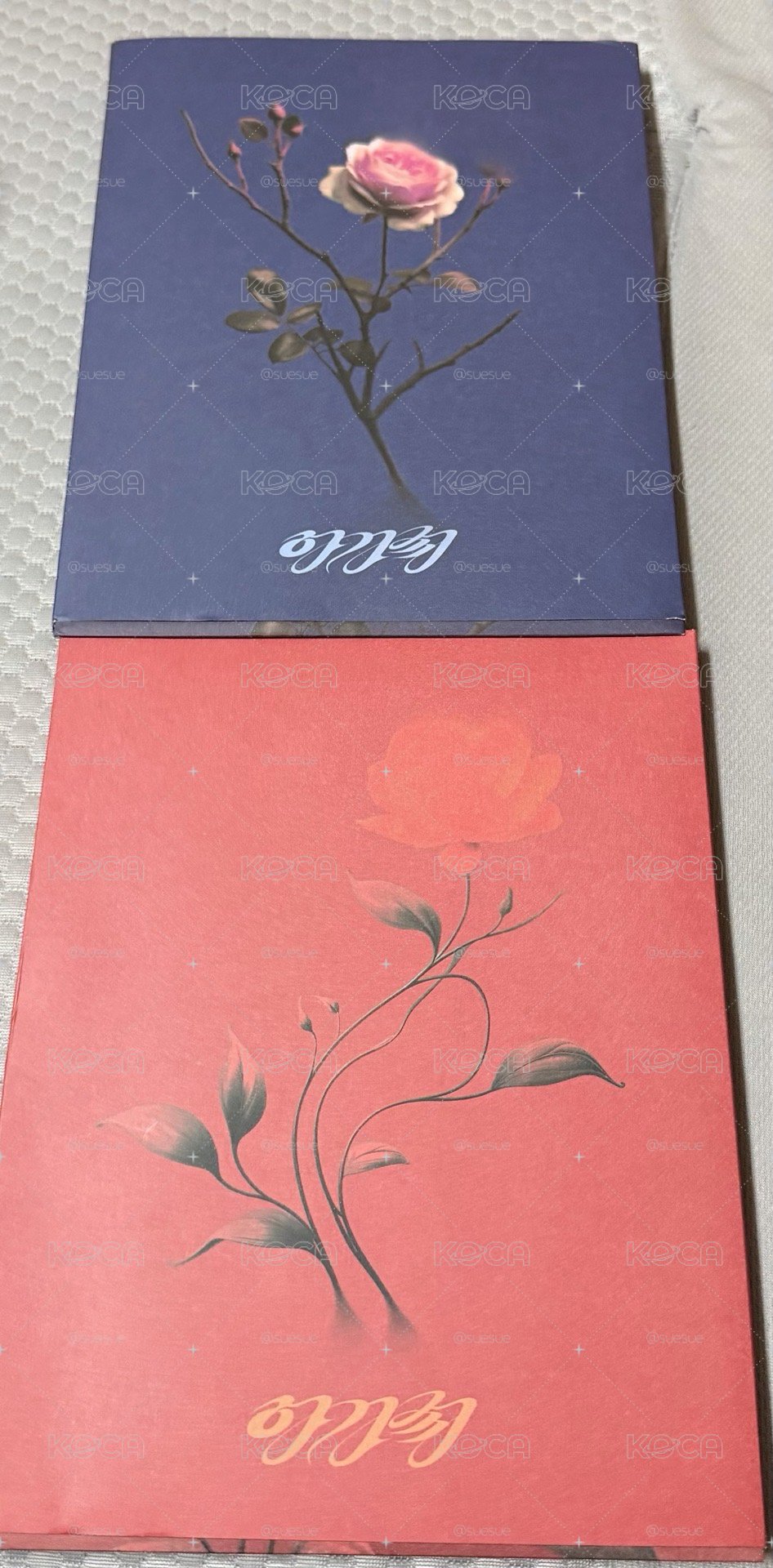 穗珍 solo agassy 空專四張不拆