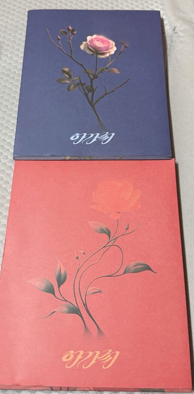 穗珍 solo agassy 空專四張不拆