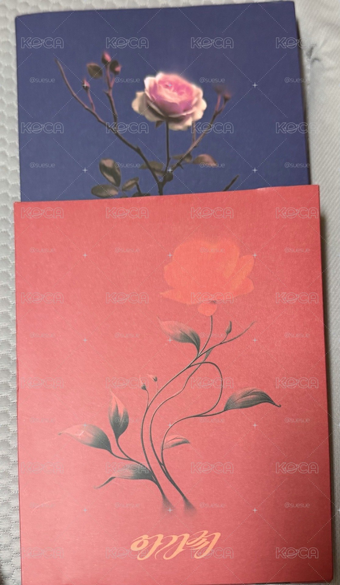 穗珍 solo agassy 空專四張不拆