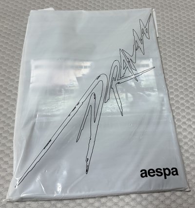 aespa drama 空專