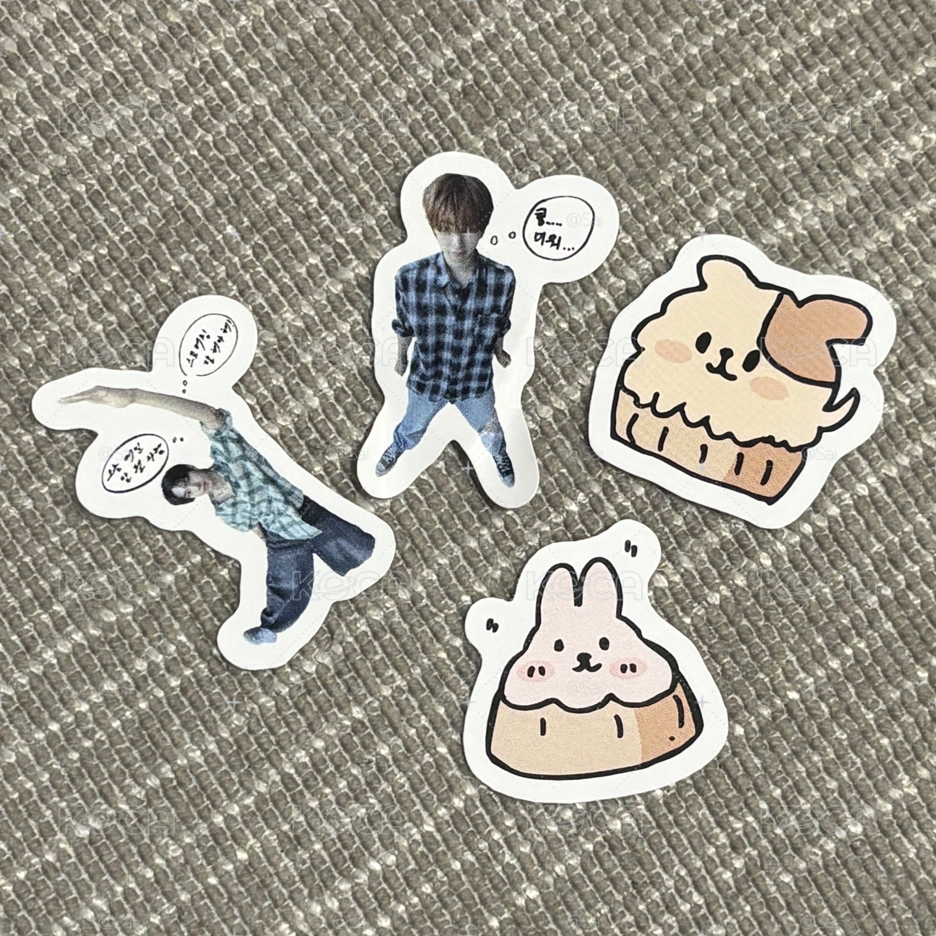 這個貼紙怎麼沒有圖鑑